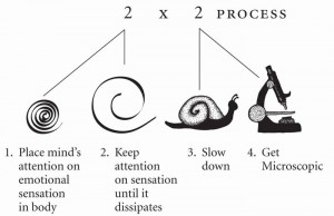 Emotional Connection Principles and Practices